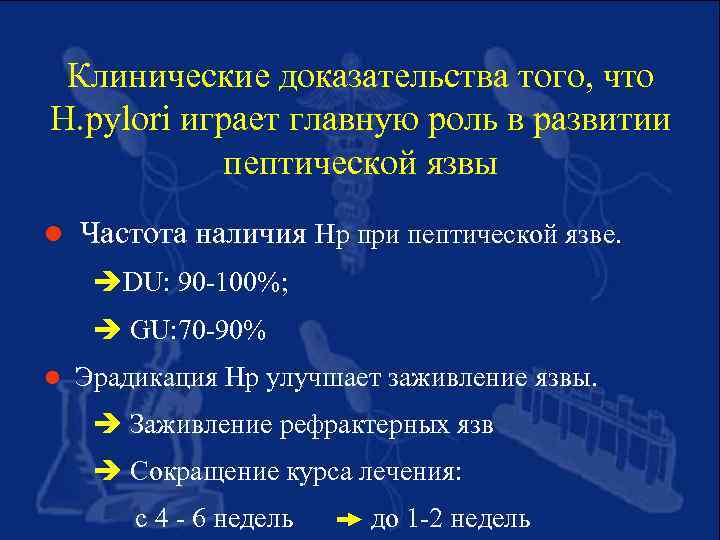 Клинические доказательства того, что H. pylori играет главную роль в развитии пептической язвы l