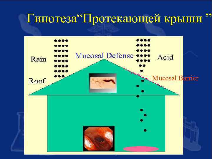 Гипотеза“Протекающей крыши ” Mucosal Barrier 