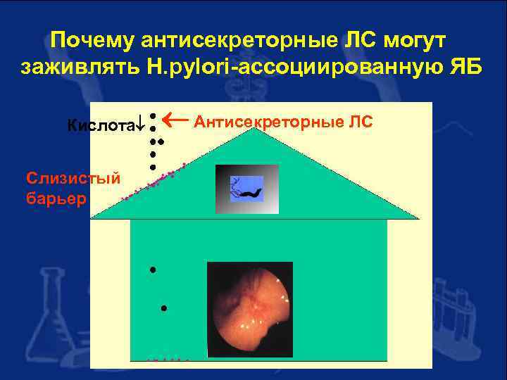 Почему антисекреторные ЛС могут заживлять H. pylori-ассоциированную ЯБ Кислота Слизистый барьер Антисекреторные ЛС 
