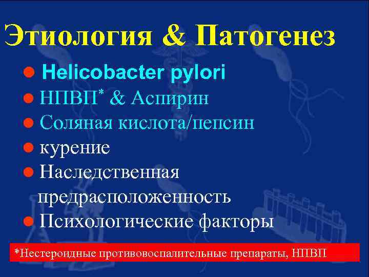 Этиология & Патогенез l Helicobacter pylori НПВП* & Aспирин Соляная кислота/пепсин курение Наследственная предрасположенность