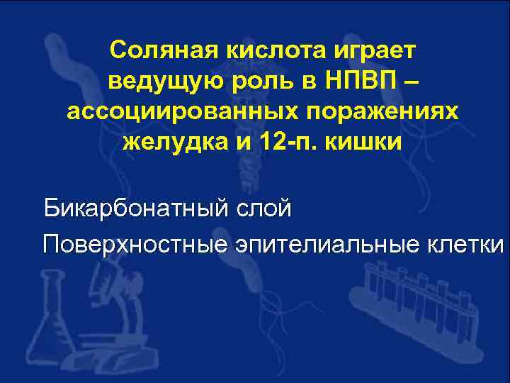 Соляная кислота играет ведущую роль в НПВП – ассоциированных поражениях желудка и 12 -п.
