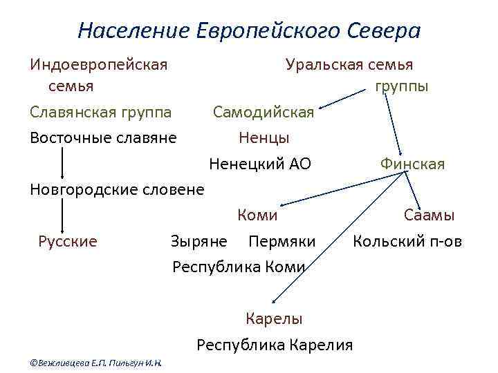 Население Европейского Севера Индоевропейская семья Славянская группа Восточные славяне Уральская семья группы Самодийская Ненцы