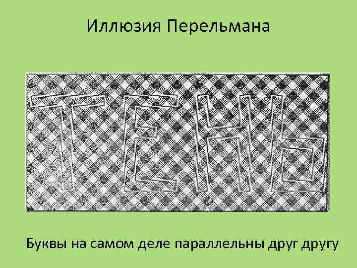 Иллюзия Перельмана Буквы на самом деле параллельны другу 