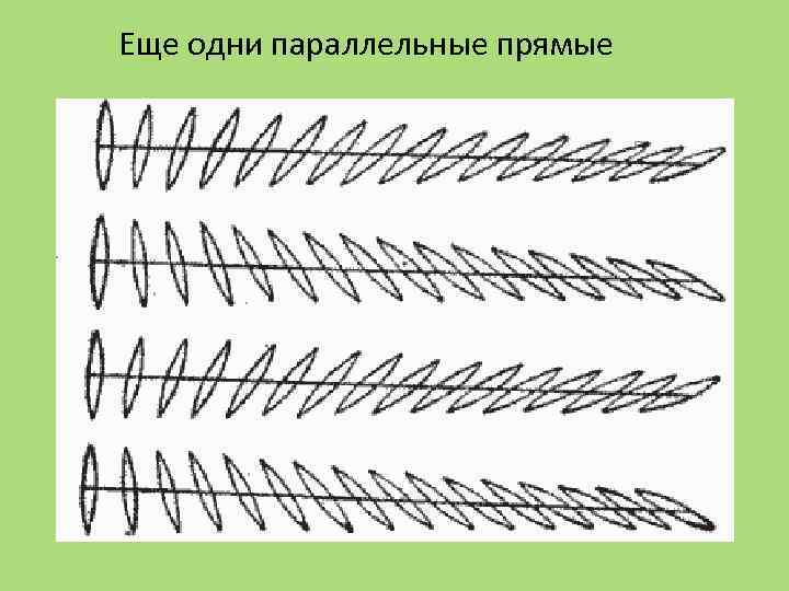 Еще одни параллельные прямые 