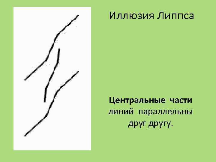 Иллюзия Липпса Центральные части линий параллельны другу. 