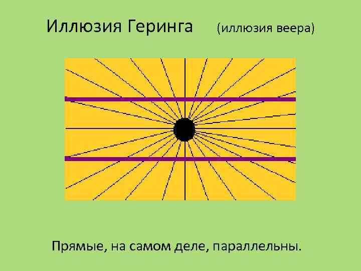 Иллюзия Геринга (иллюзия веера) Прямые, на самом деле, параллельны. 