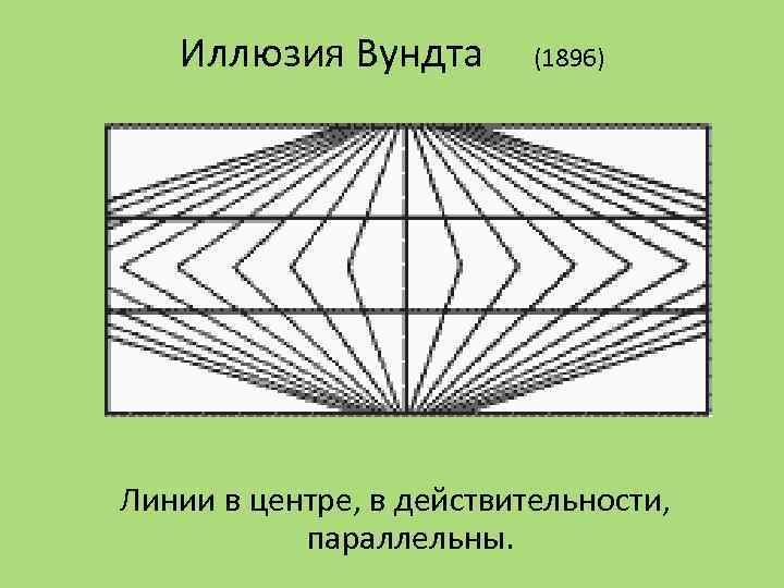 Иллюзия Вундта (1896) Линии в центре, в действительности, параллельны. 