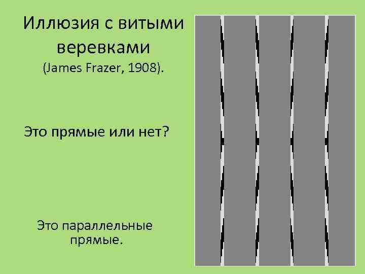 Иллюзия с витыми веревками (James Frazer, 1908). Это прямые или нет? Это параллельные прямые.