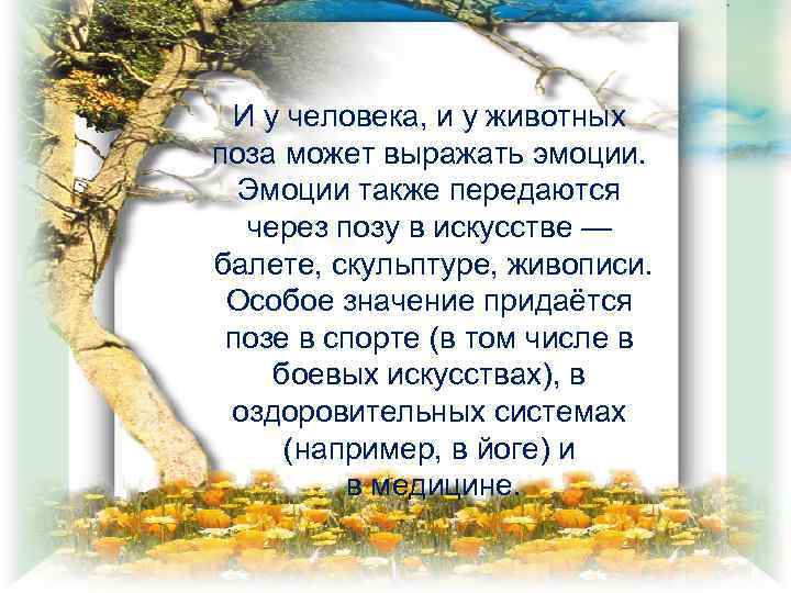 И у человека, и у животных поза может выражать эмоции. Эмоции также передаются через