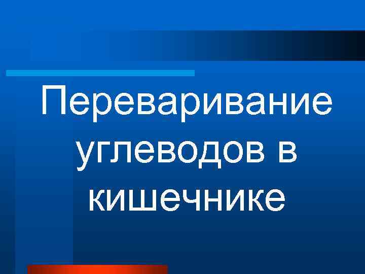 Переваривание углеводов в кишечнике 