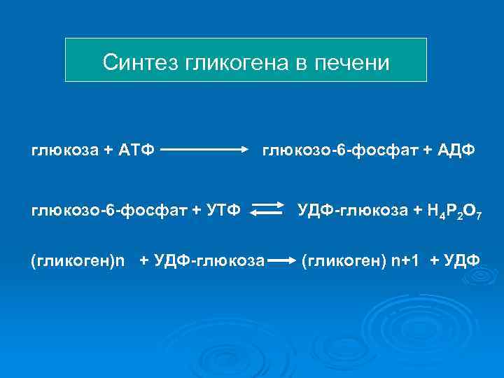 Синтез гликогена в печени глюкоза + АТФ глюкозо-6 -фосфат + АДФ глюкозо-6 -фосфат +