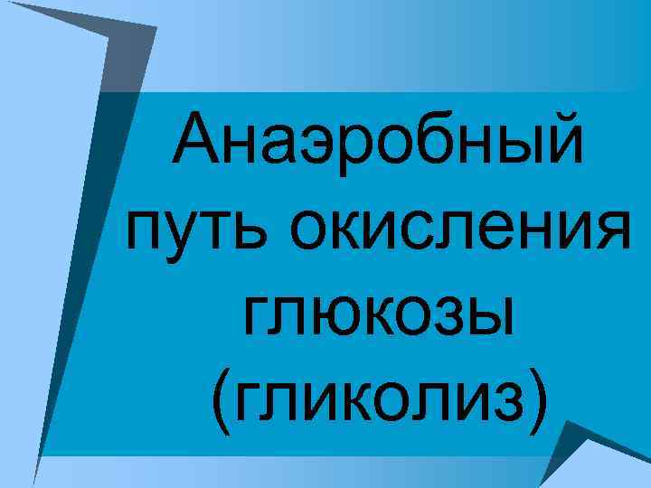 Анаэробный путь окисления глюкозы (гликолиз) 