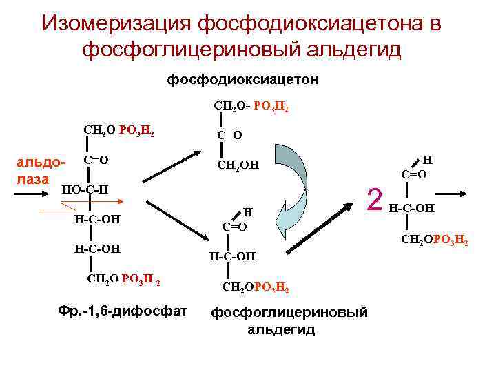 Изомеризация фосфодиоксиацетона в фосфоглицериновый альдегид фосфодиоксиацетон СН 2 О- РО 3 Н 2 СН
