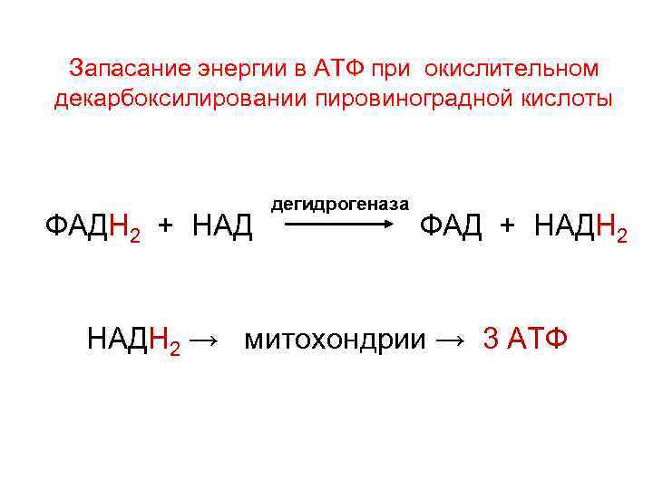 Запасание энергии в АТФ при окислительном декарбоксилировании пировиноградной кислоты ФАДН 2 + НАД дегидрогеназа