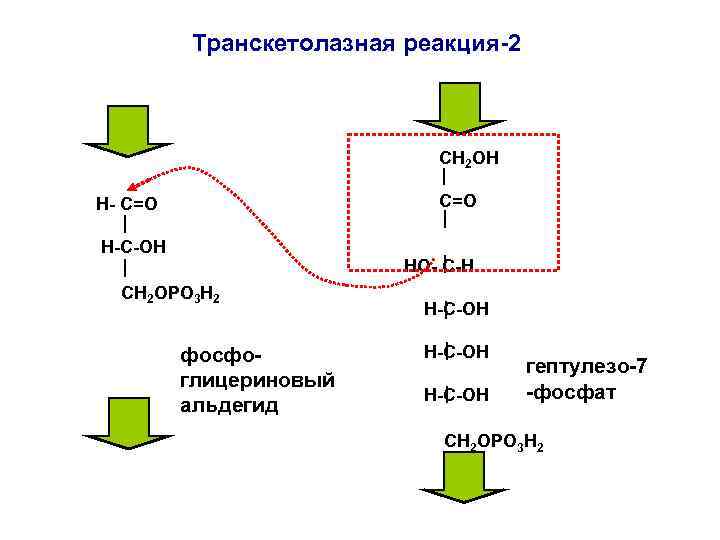 Транскетолазная реакция-2 СН 2 ОН С=О Н- С=О H-C-ОН НО- С-Н СН 2 ОРО