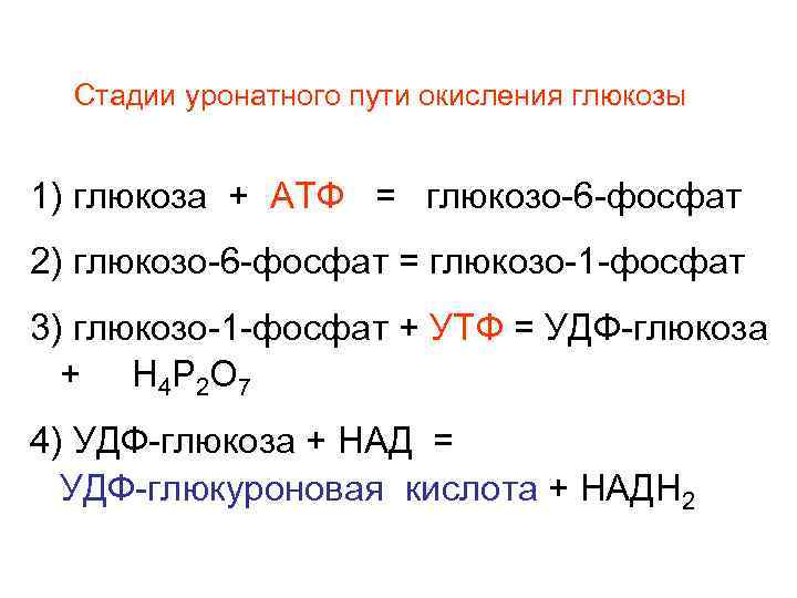Стадии уронатного пути окисления глюкозы 1) глюкоза + АТФ = глюкозо-6 -фосфат 2) глюкозо-6