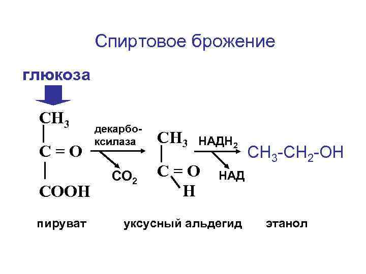 Спиртовое брожение глюкоза СН 3 С=О СООН пируват декарбоксилаза СО 2 СН 3 НАДН