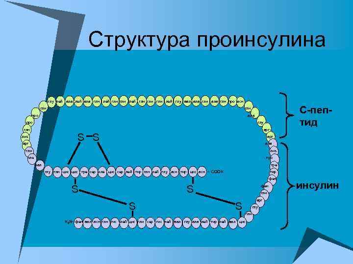 Структура проинсулина глу лей ала глн лей гли гли гли лей глу вал ала
