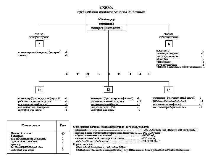 СХЕМА организации команды защиты животных Командир команды ветврач (зоотехник) звено ветеринарное звено обеспечения 3