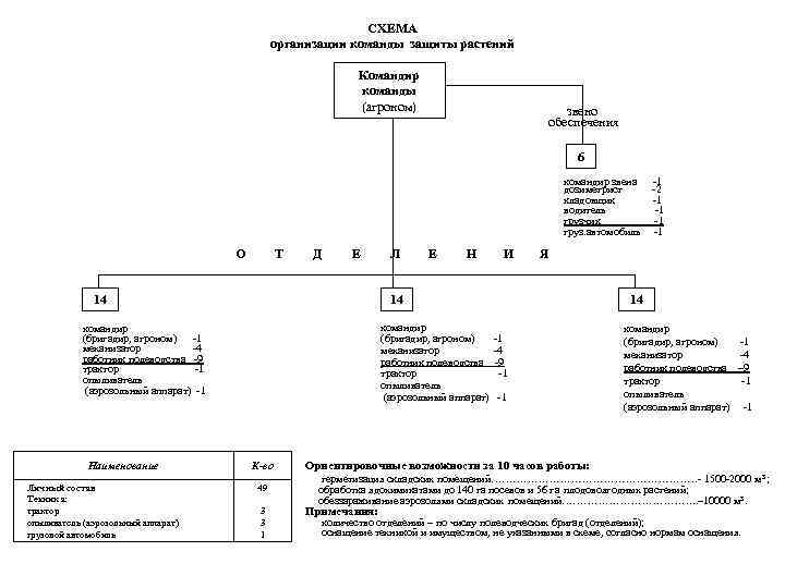 СХЕМА организации команды защиты растений Командир команды (агроном) звено обеспечения 6 командир звена -1