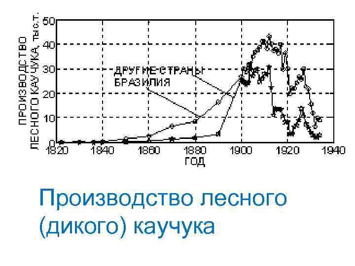 Производство лесного (дикого) каучука 