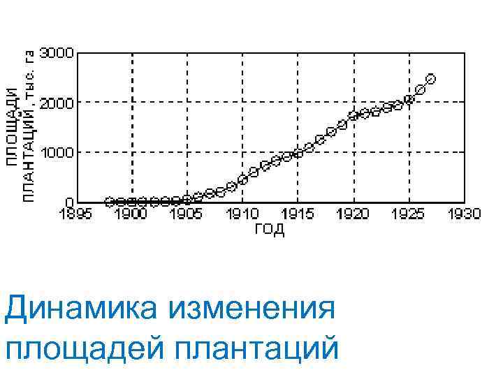 Динамика изменения площадей плантаций 