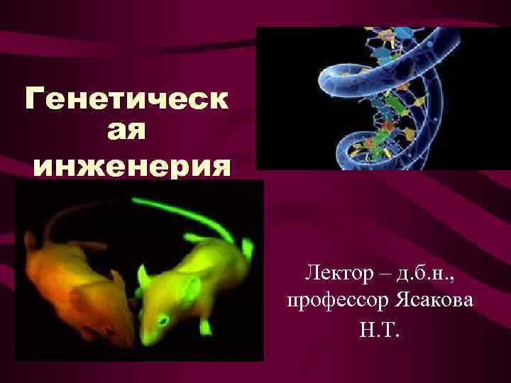 Генетическ ая инженерия Лектор – д. б. н. , профессор Ясакова Н. Т. 