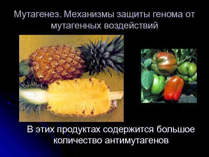 Мутагенез. Механизмы защиты генома от мутагенных воздействий В этих продуктах содержится большое количество антимутагенов