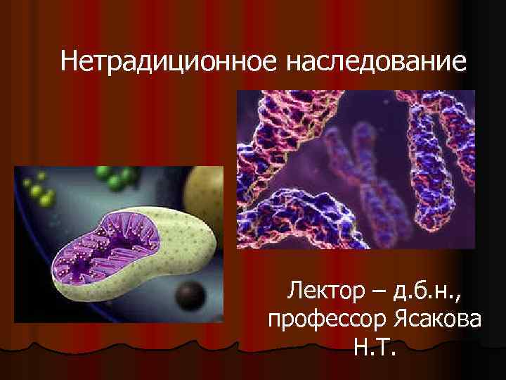 Нетрадиционное наследование Лектор – д. б. н. , профессор Ясакова Н. Т. 