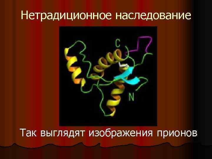 Нетрадиционное наследование Так выглядят изображения прионов 