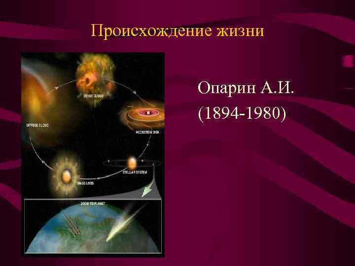 Происхождение жизни Опарин А. И. (1894 -1980) 