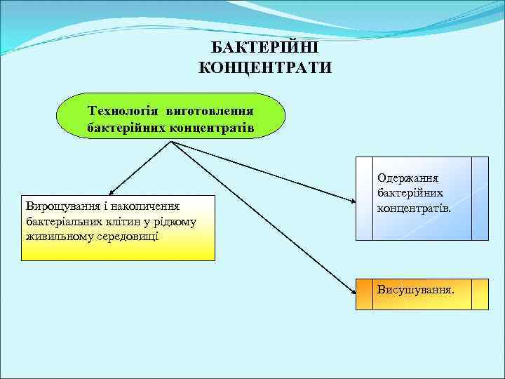 БАКТЕРІЙНІ КОНЦЕНТРАТИ Технологія виготовлення бактерійних концентратів Вирощування і накопичення бактеріальних клітин у рідкому живильному