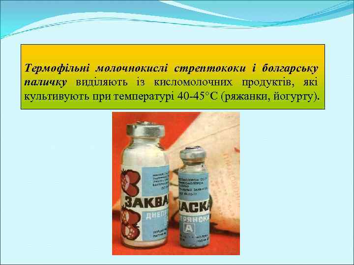 Термофільні молочнокислі стрептококи і болгарську паличку виділяють із кисломолочних продуктів, які культивують при температурі