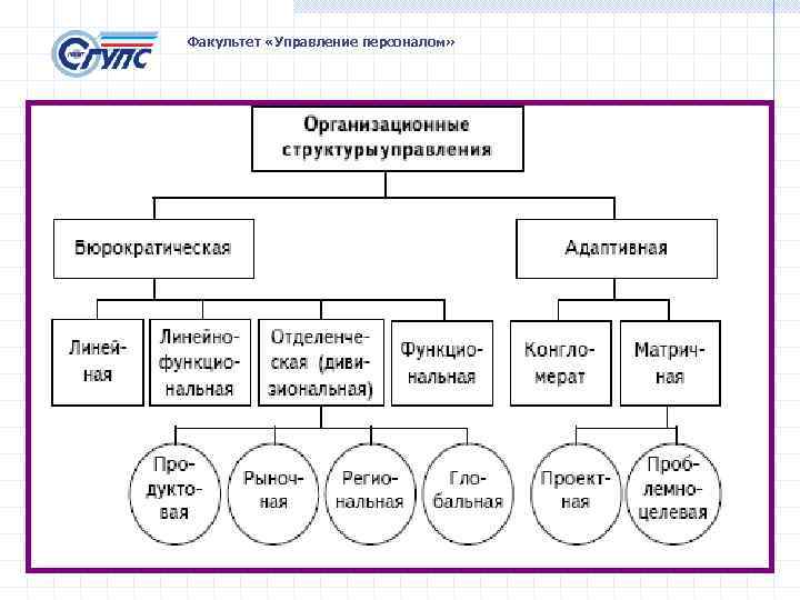 Кафедра управления организацией