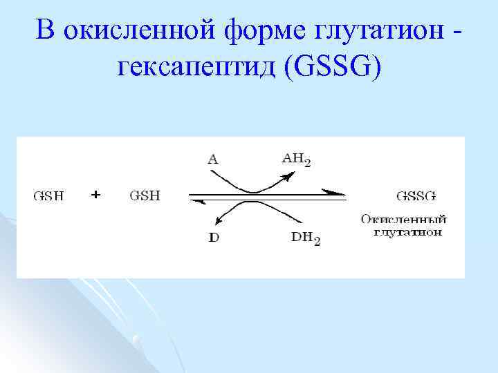 В окисленной форме глутатион гексапептид (GSSG) 