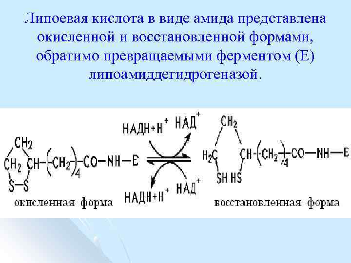 Липоевая кислота в виде амида представлена окисленной и восстановленной формами, обратимо превращаемыми ферментом (Е)