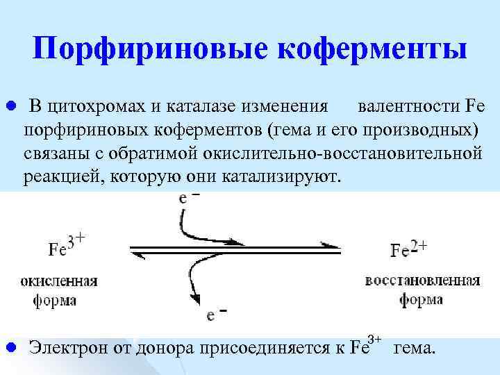 Порфириновые коферменты l В цитохромах и каталазе изменения валентности Fе порфириновых коферментов (гема и