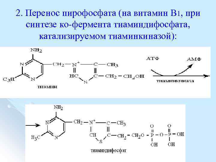 2. Перенос пирофосфата (на витамин В 1, при синтезе ко фермента тиаминдифосфата, катализируемом тиаминкиназой):