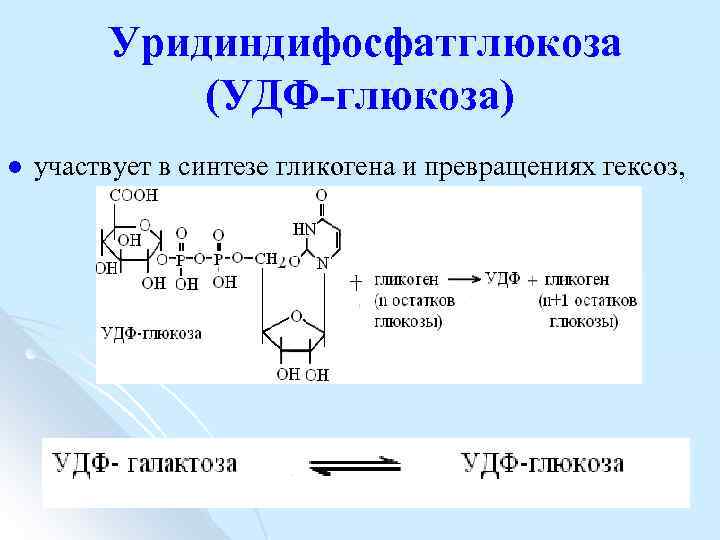 Уридиндифосфатглюкоза (УДФ-глюкоза) l участвует в синтезе гликогена и превращениях гексоз, 