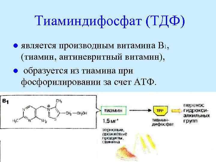 Тиаминдифосфат (ТДФ) является производным витамина В 1, (тиамин, антиневритный витамин), l образуется из тиамина