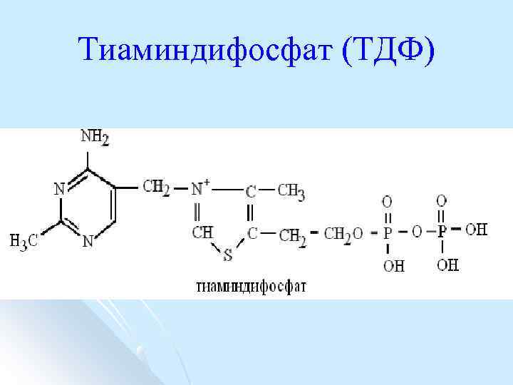 Тиаминдифосфат (ТДФ) 