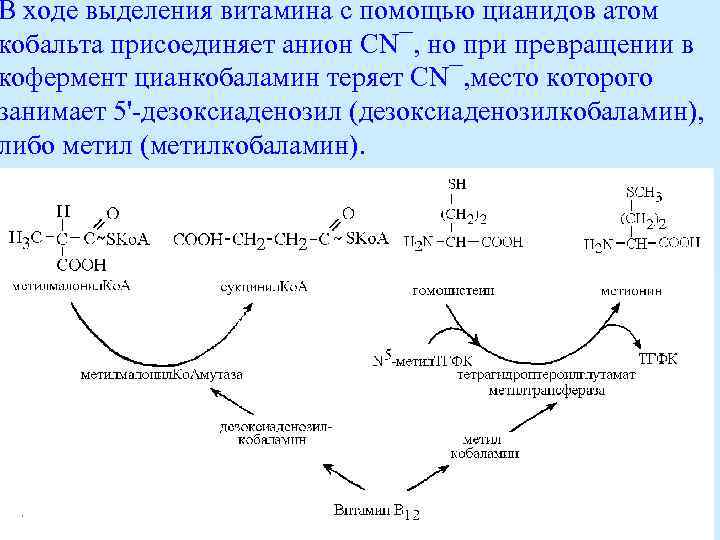 В ходе выделения витамина с помощью цианидов атом кобальта присоединяет анион СN¯, но при
