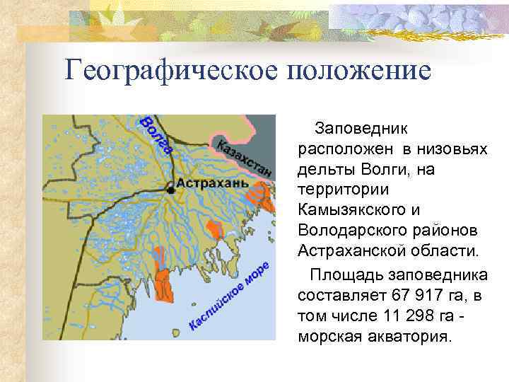 Географическое положение Заповедник расположен в низовьях дельты Волги, на территории Камызякского и Володарского районов