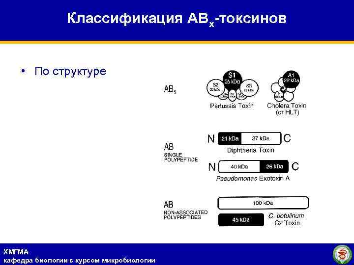 Классификация АВх-токсинов • По структуре ХМГМА кафедра биологии с курсом микробиологии 