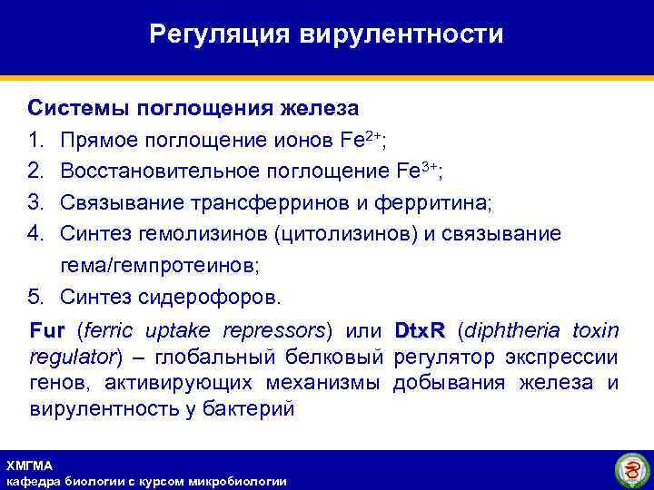 Регуляция вирулентности Системы поглощения железа 1. Прямое поглощение ионов Fe 2+; 2. Восстановительное поглощение
