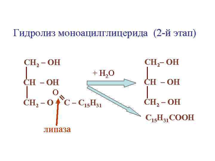 Гидролиз моноацилглицерида (2 -й этап) СН 2 – ОН СН 2– ОН + Н