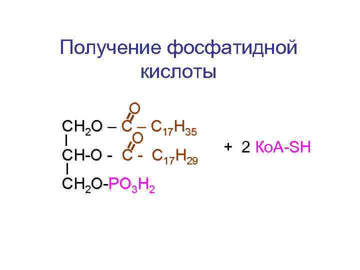 Получение фосфатидной кислоты О СН 2 О – С 17 Н 35 О СН-О