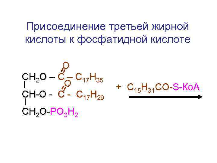 Присоединение третьей жирной кислоты к фосфатидной кислоте О СН 2 О – С 17