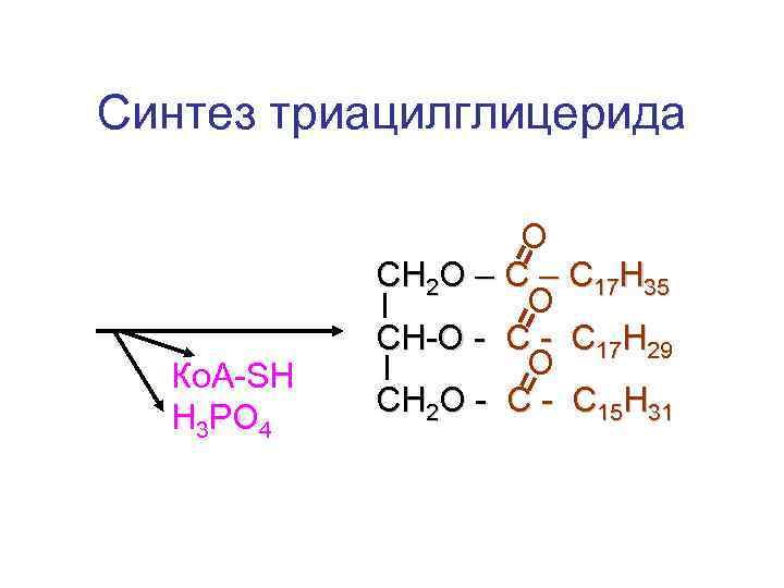 Синтез триацилглицерида Ко. А-SH Н 3 РО 4 О СН 2 О – С