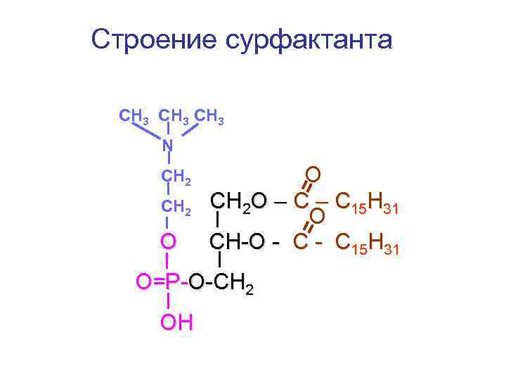 Строение сурфактанта СН 3 N CH 2 СН 2 О О СН 2 О